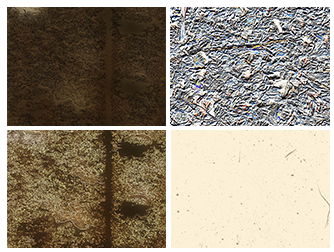 Ab Collection 2