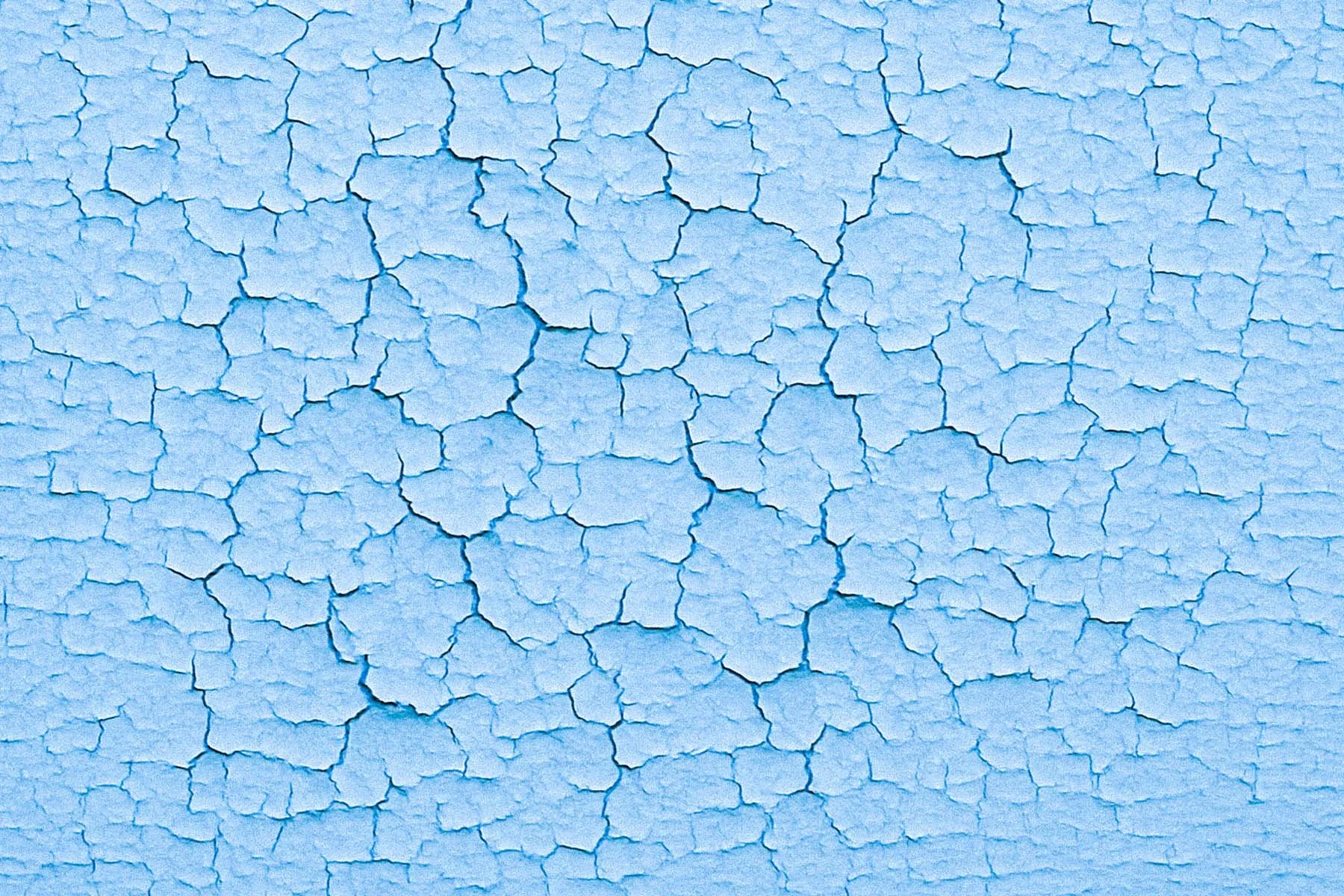 Paint 10