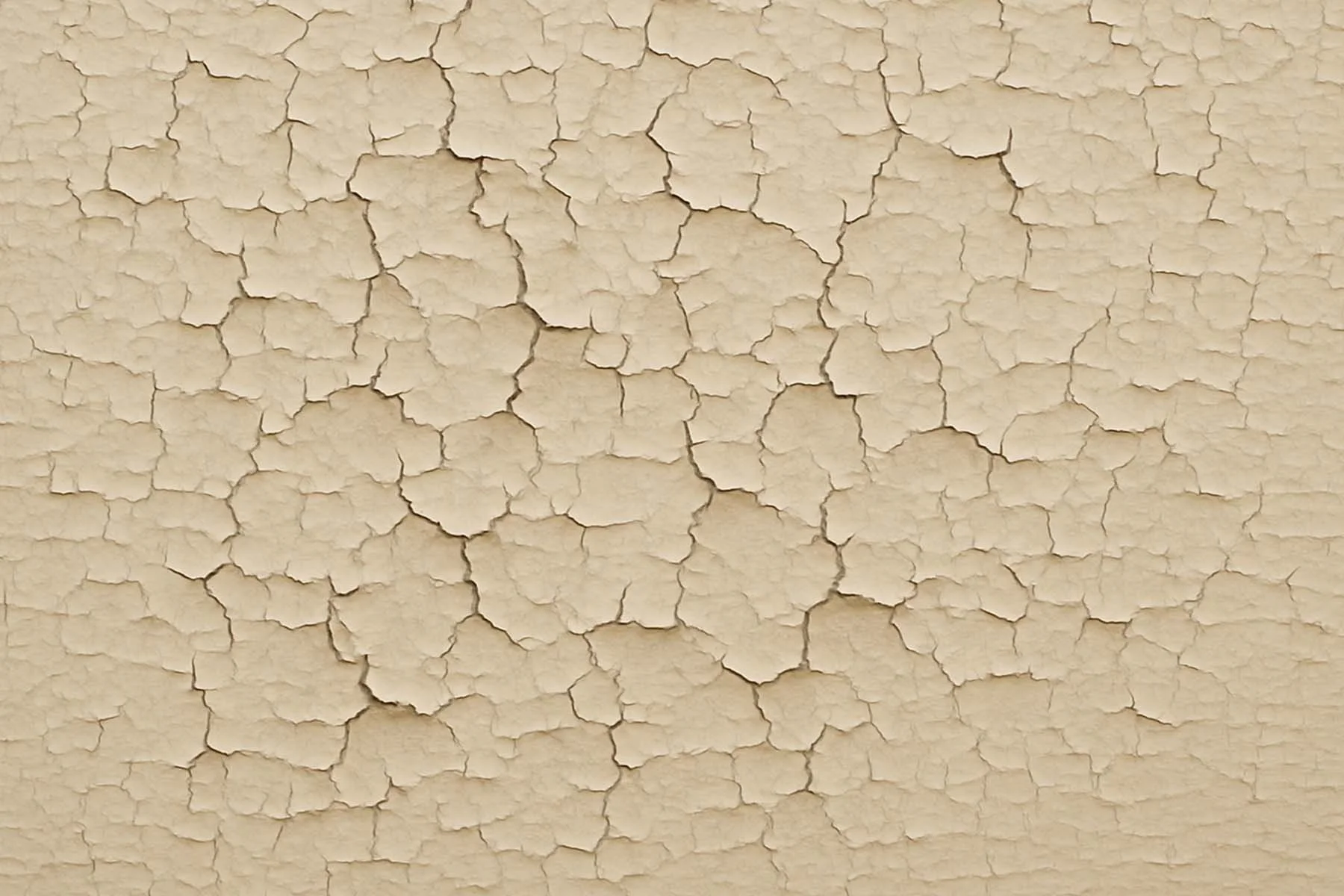 Paint 3