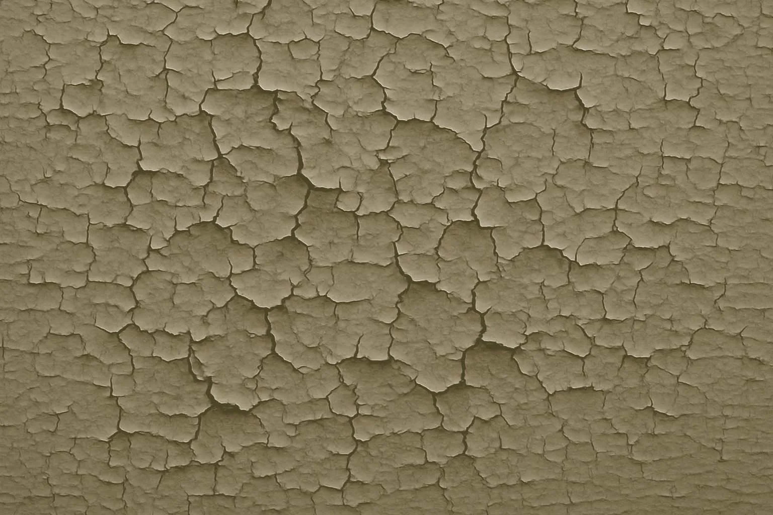 Paint 12