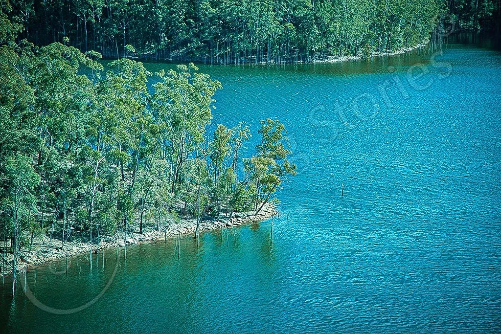 The Dam