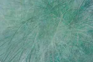 Foliage 4