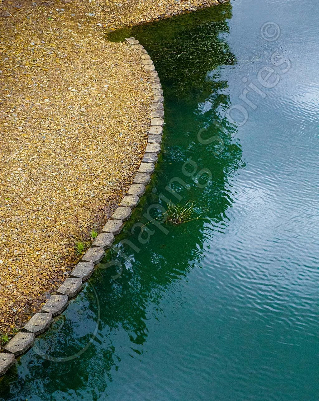 Water's Edge