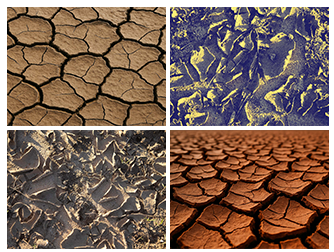 Dried Mud Collection 1