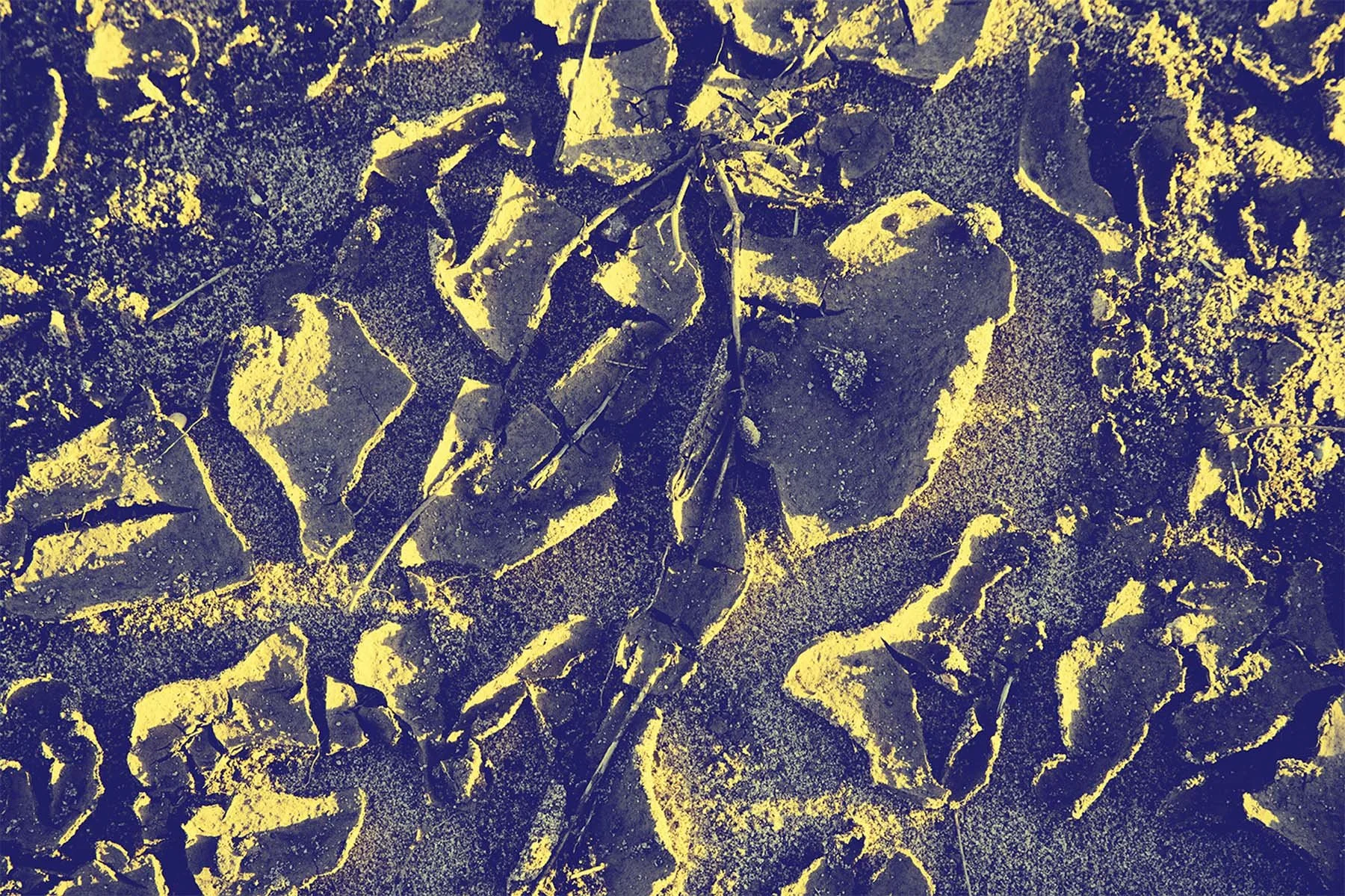 Dried Mud 9
