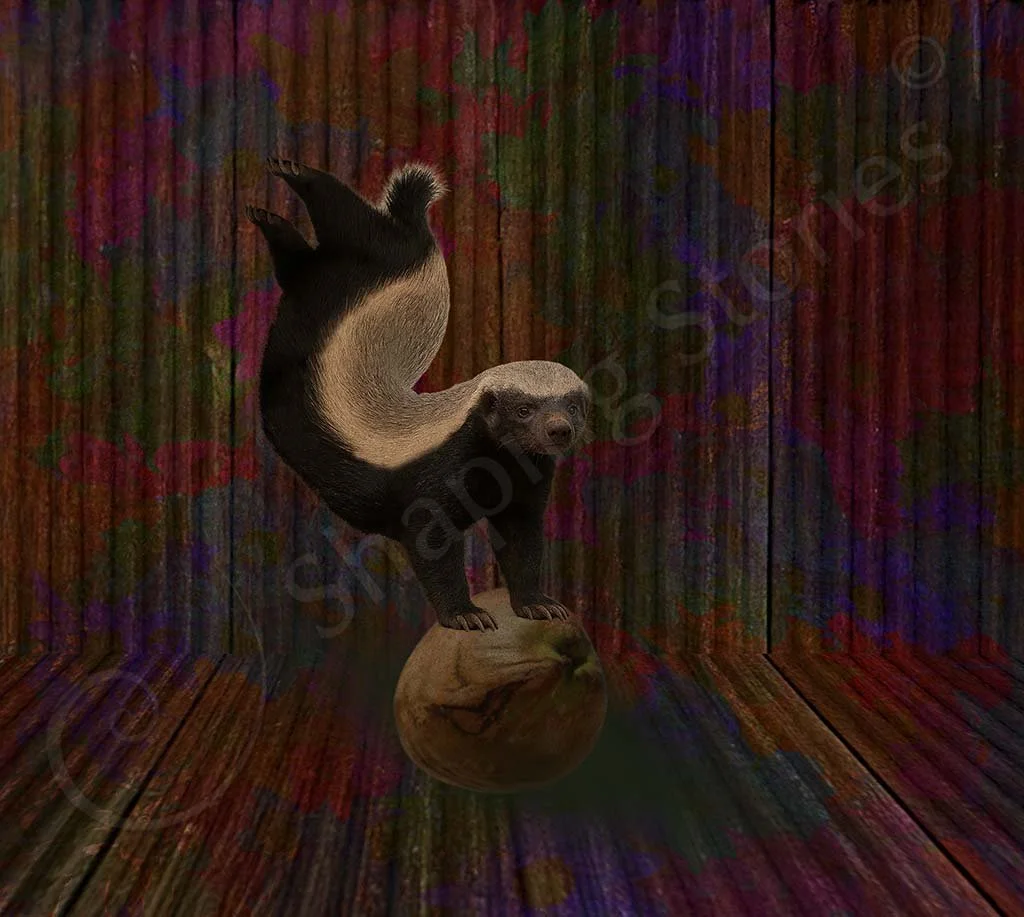 Emotional Support Honey Badger