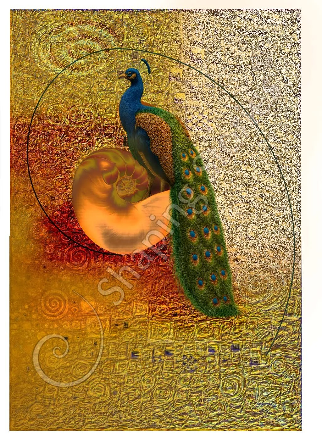 Peacock