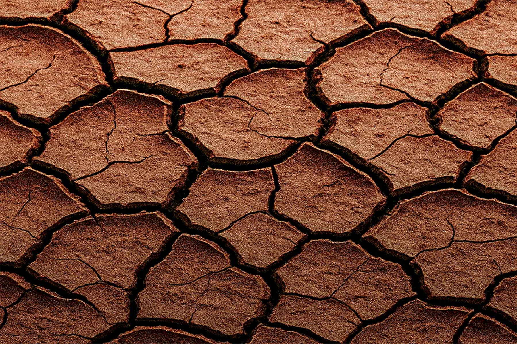 Dried Mud 2