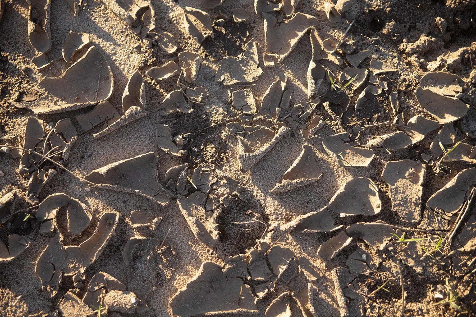 Dried Mud 12