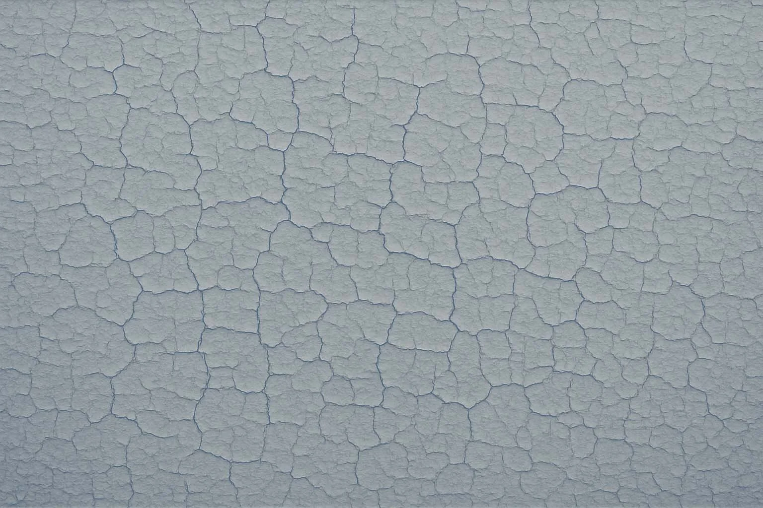 Paint 4