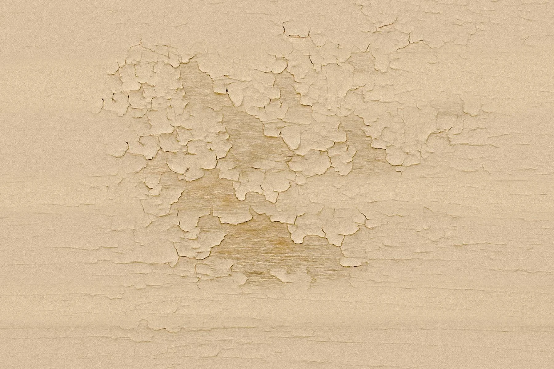 Paint 9