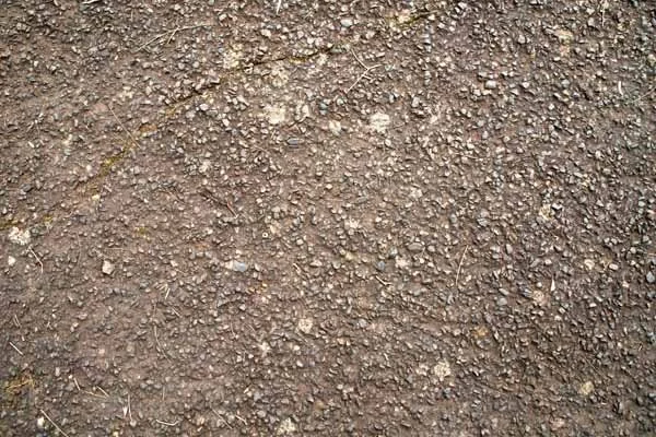 Road & Path 15