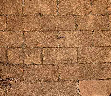 Road & Path 3