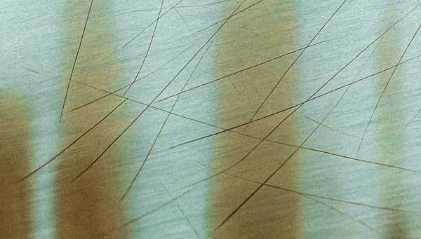 Scratches 11