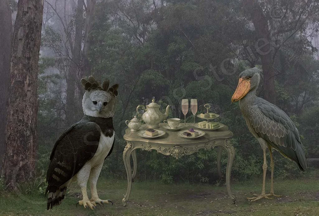 Harpy & Shoebill at Tea