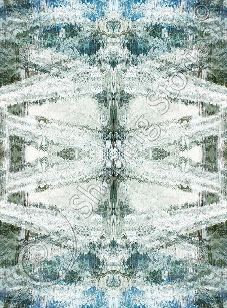 MOMA 2