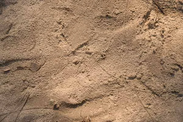 Road & Path 10