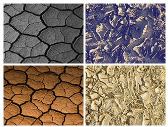 Dried Mud Collection 3