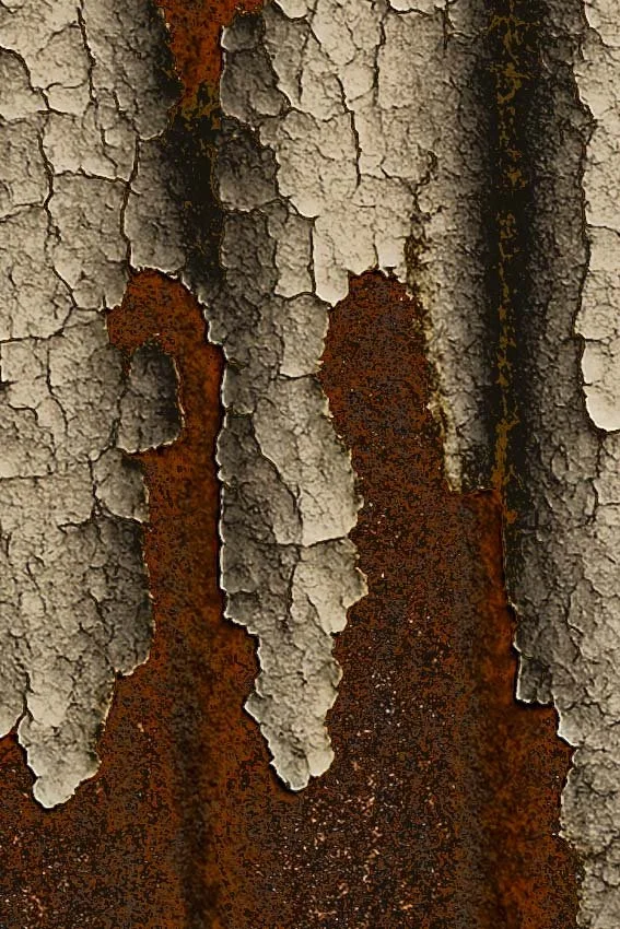 Paint 6