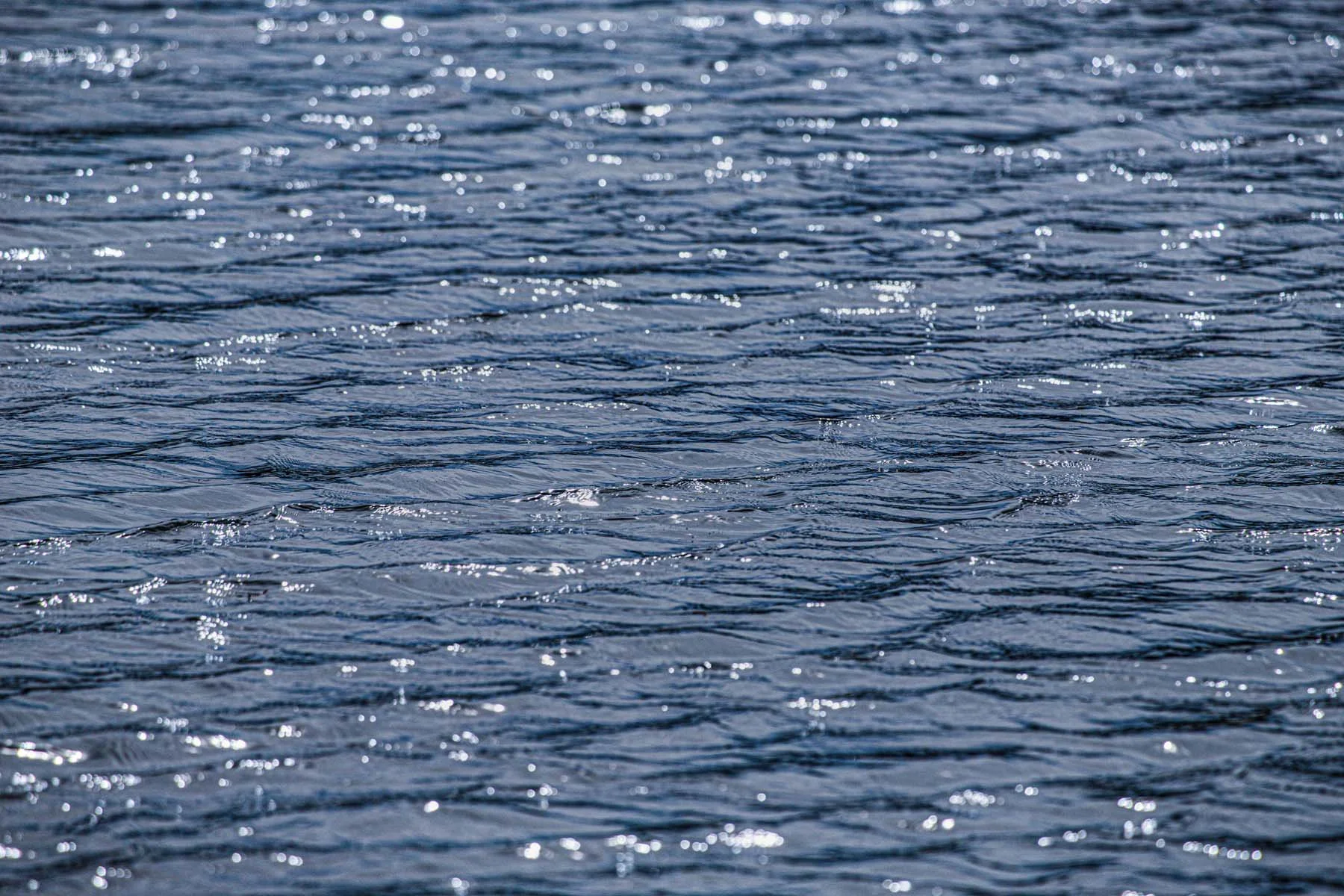 Ripples 16