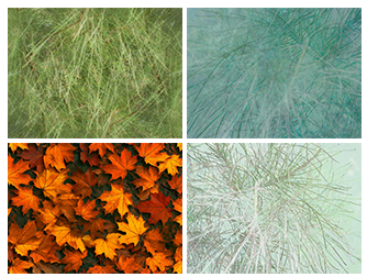Foliage Collection 1