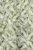 Fabric 9