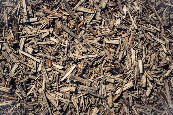 Mulch 5