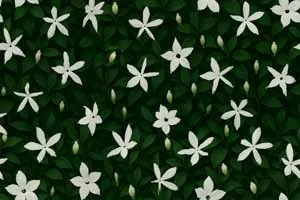 Foliage 9