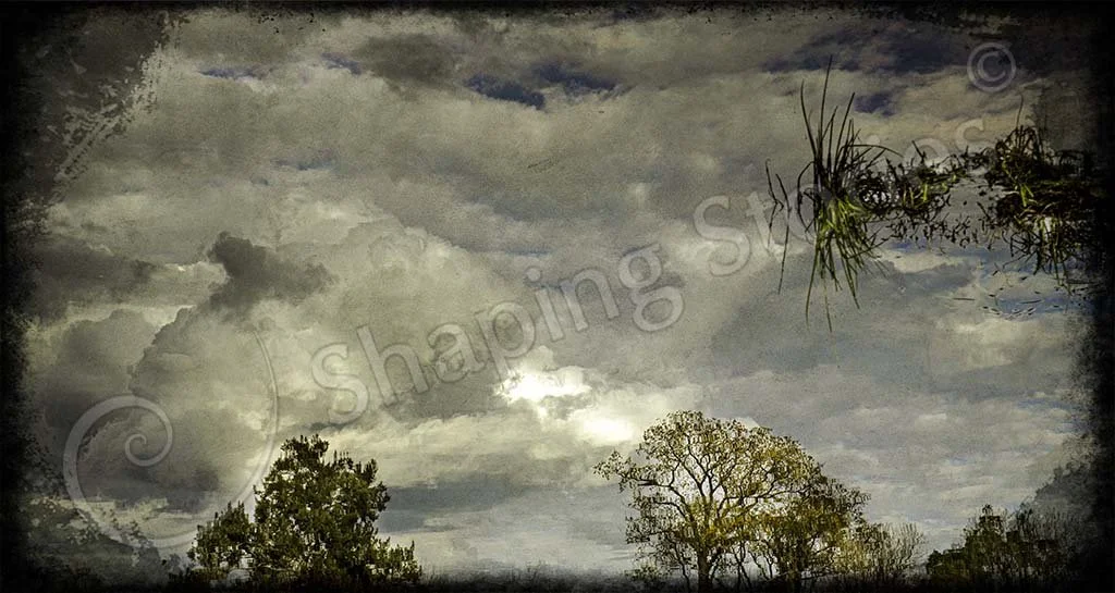 Painterly 1 Small copy.jpg