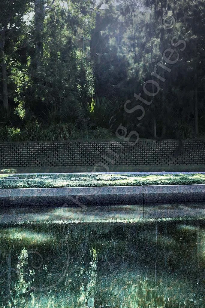 Pool by the Jungle