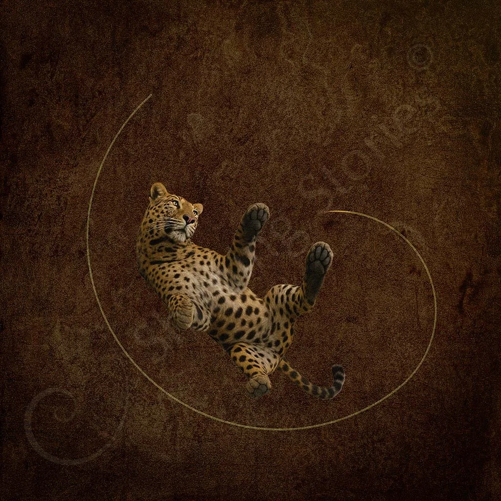 Leopard at Play