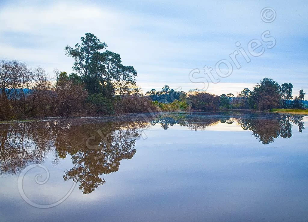 AB Other Pond