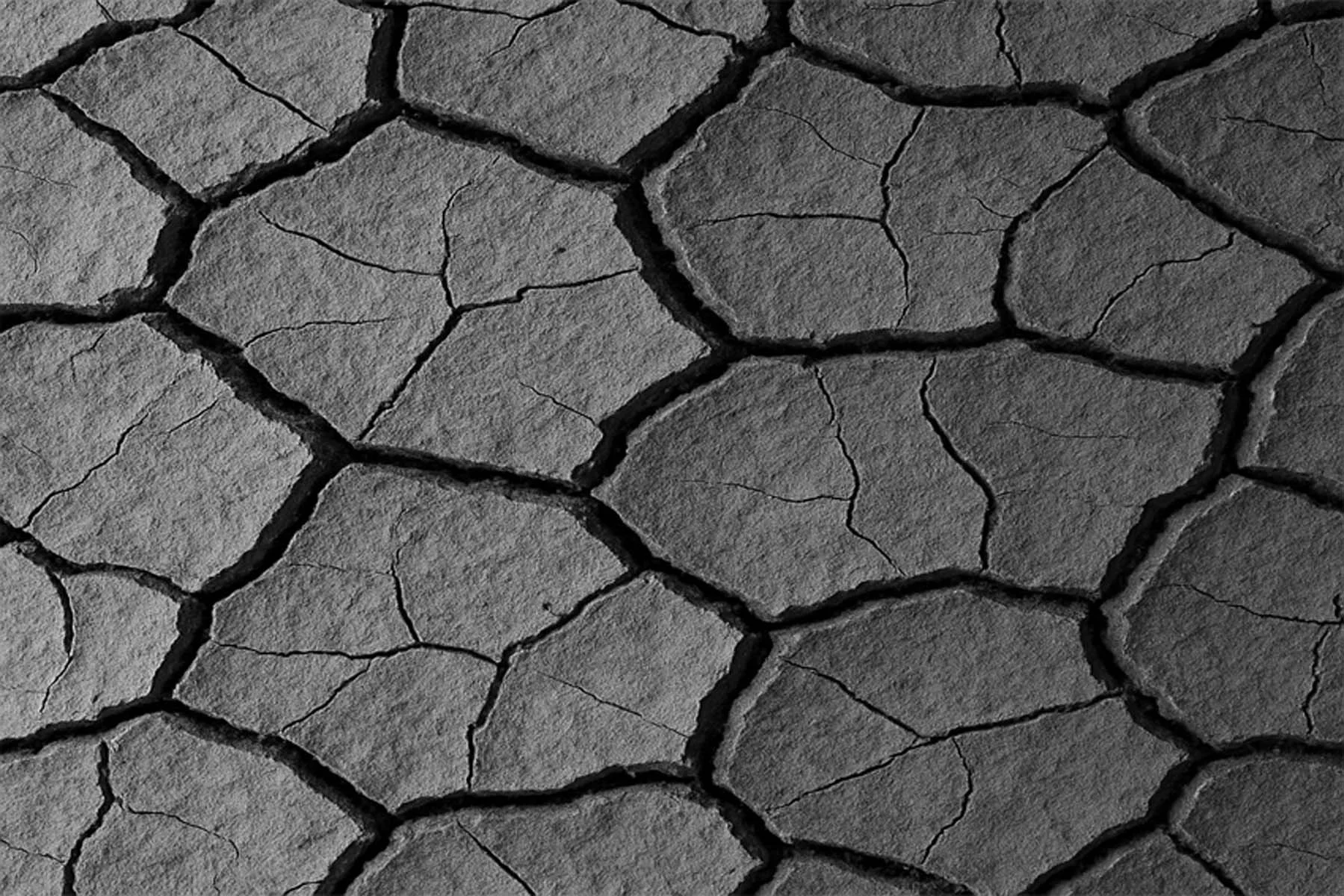 Dried Mud 3