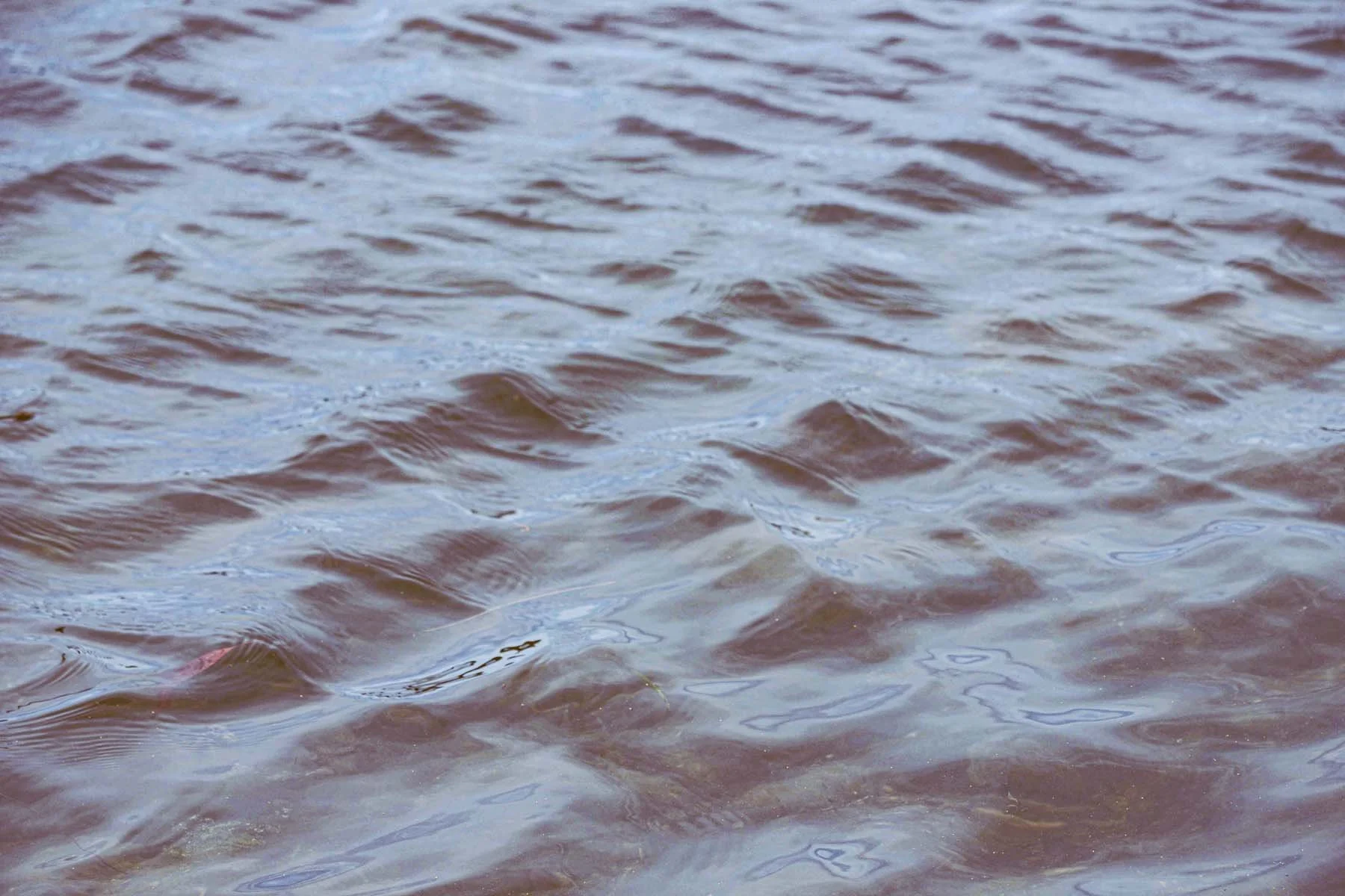 Ripples 11