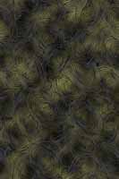 Fabric 7