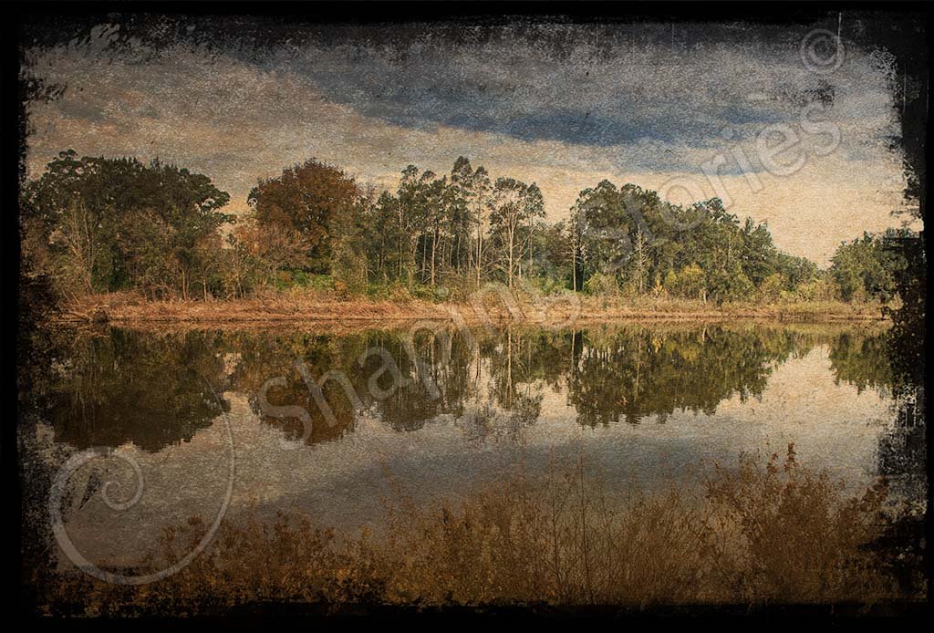 Painterly 4 copy.jpg