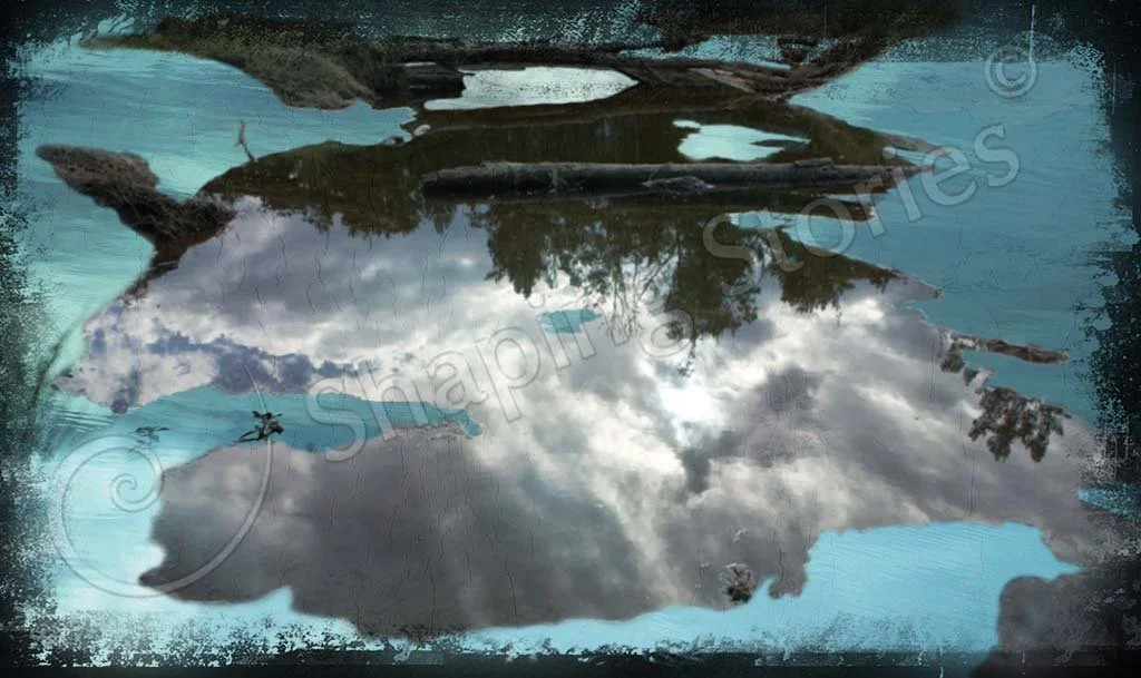 Reflections