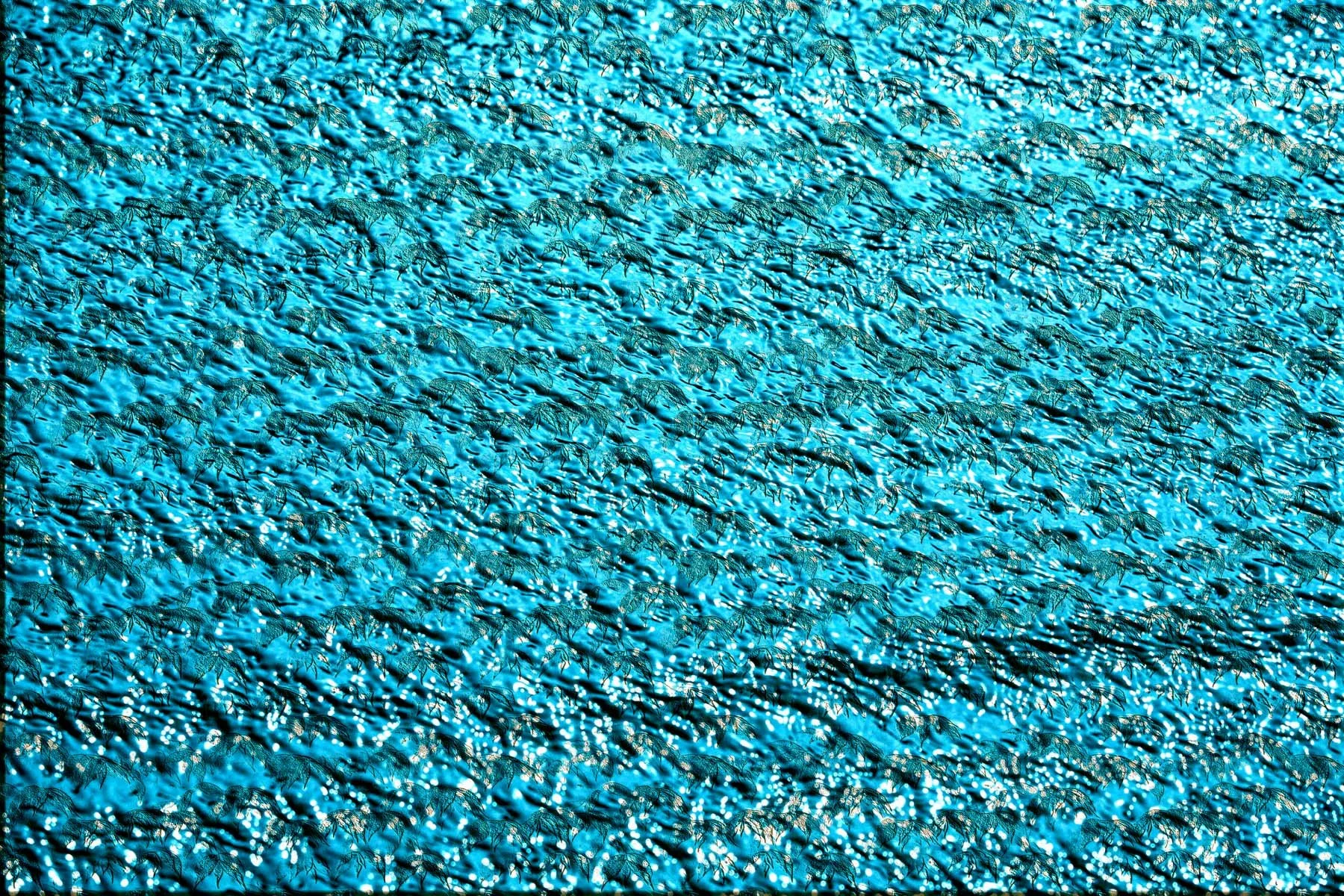 Ripples 38