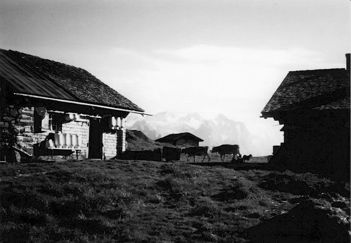 Familie Schild &amp; von Bergen