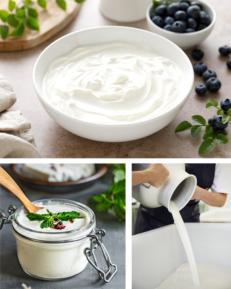 Verschiedene Arten von Schüsseln mit Joghurt Quark, mit Heidelbeeren und Minzblättern als Dekoration