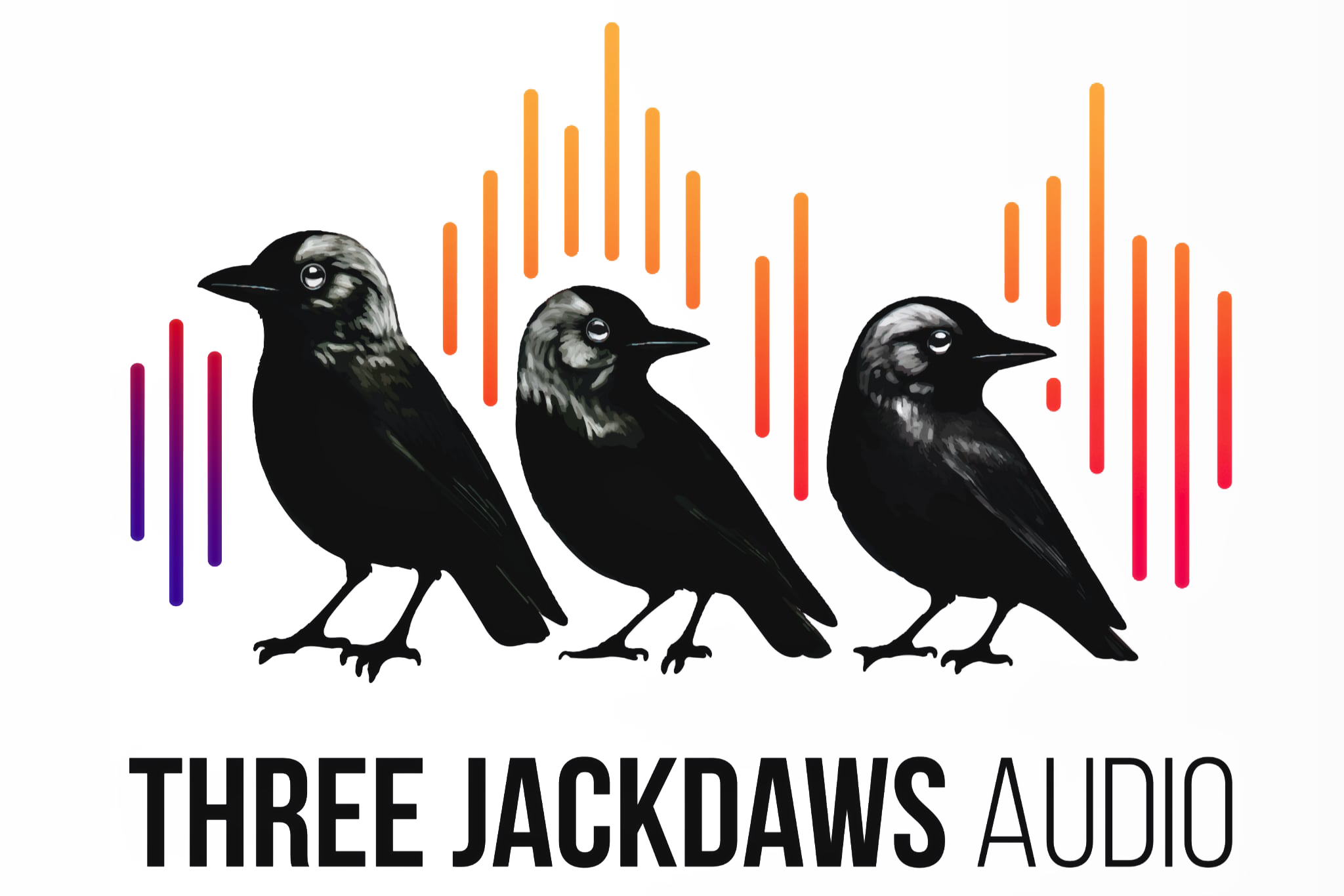 Illustration of three blackbirds with audio equalizer bars in orange, red, purple, and green in the background, and the text 'Three Jackdaws Audio' at the bottom.