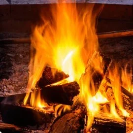 Module 3: Fire: Appreciative Connection/Living with Vitality