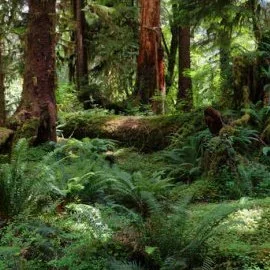 Module 1: Earth: Finding the Ground/Inner Resources