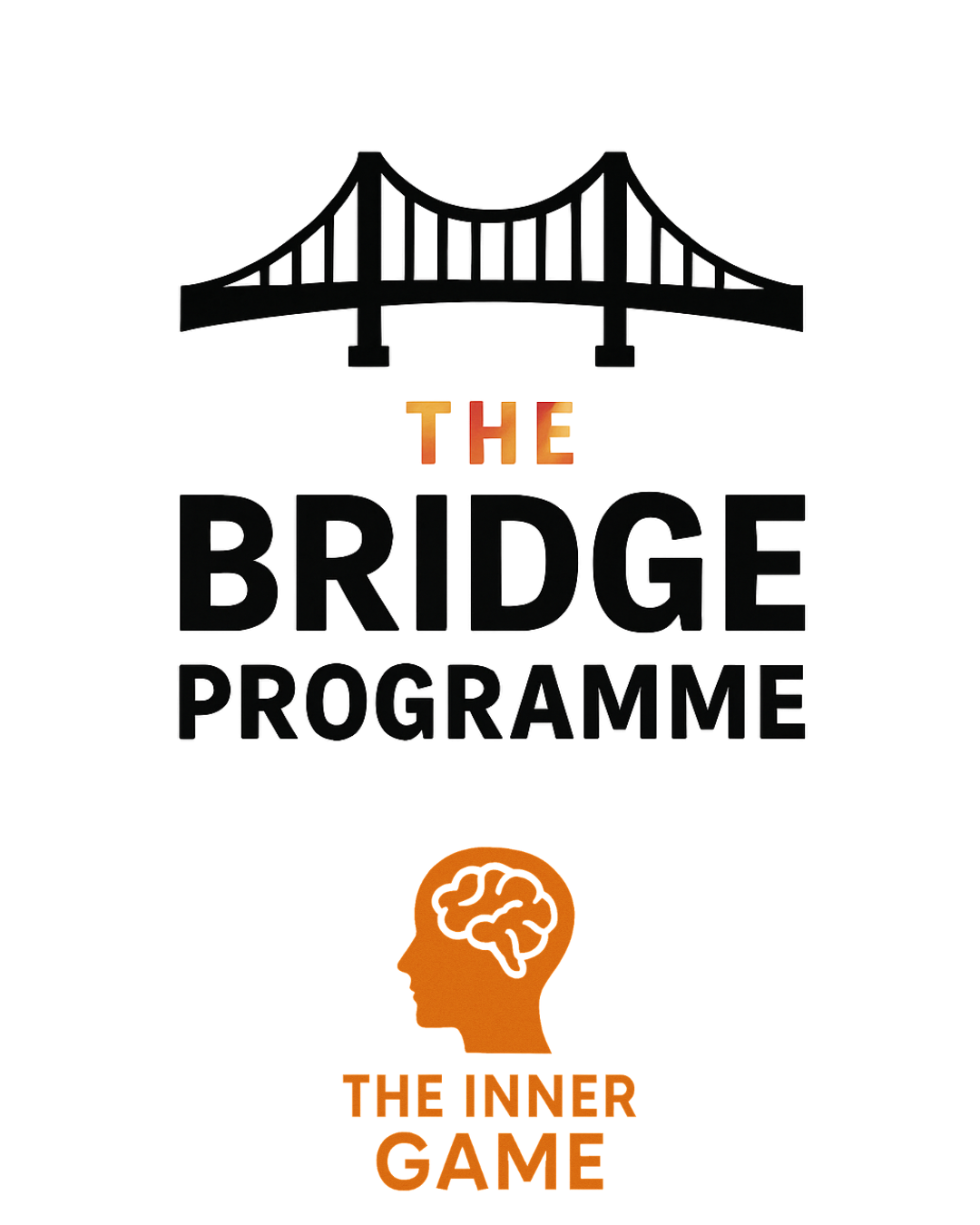 The Bridge Programme Year 6