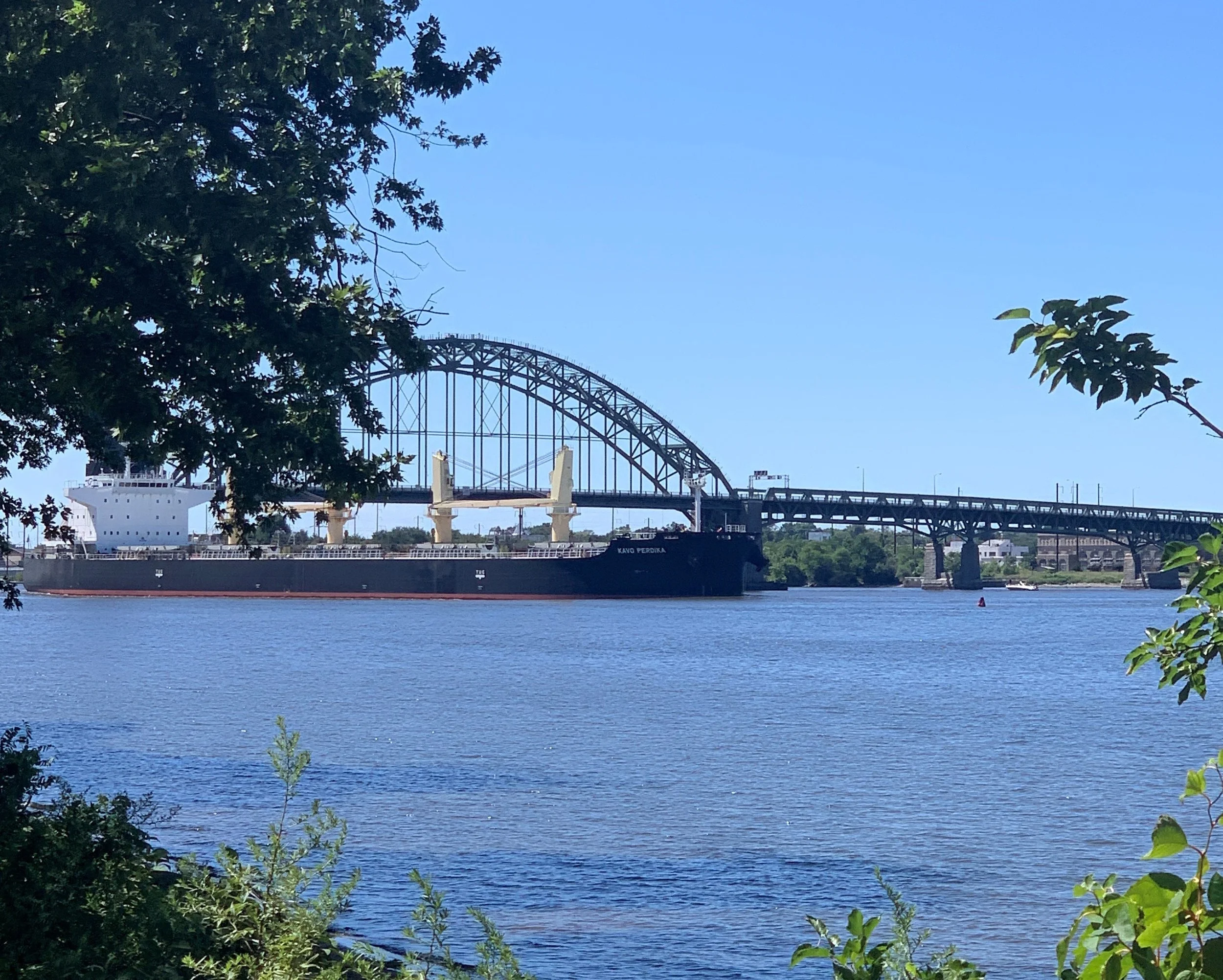 A large cargo ship sailing under a bridge over a river, with trees and blue sky in the background.