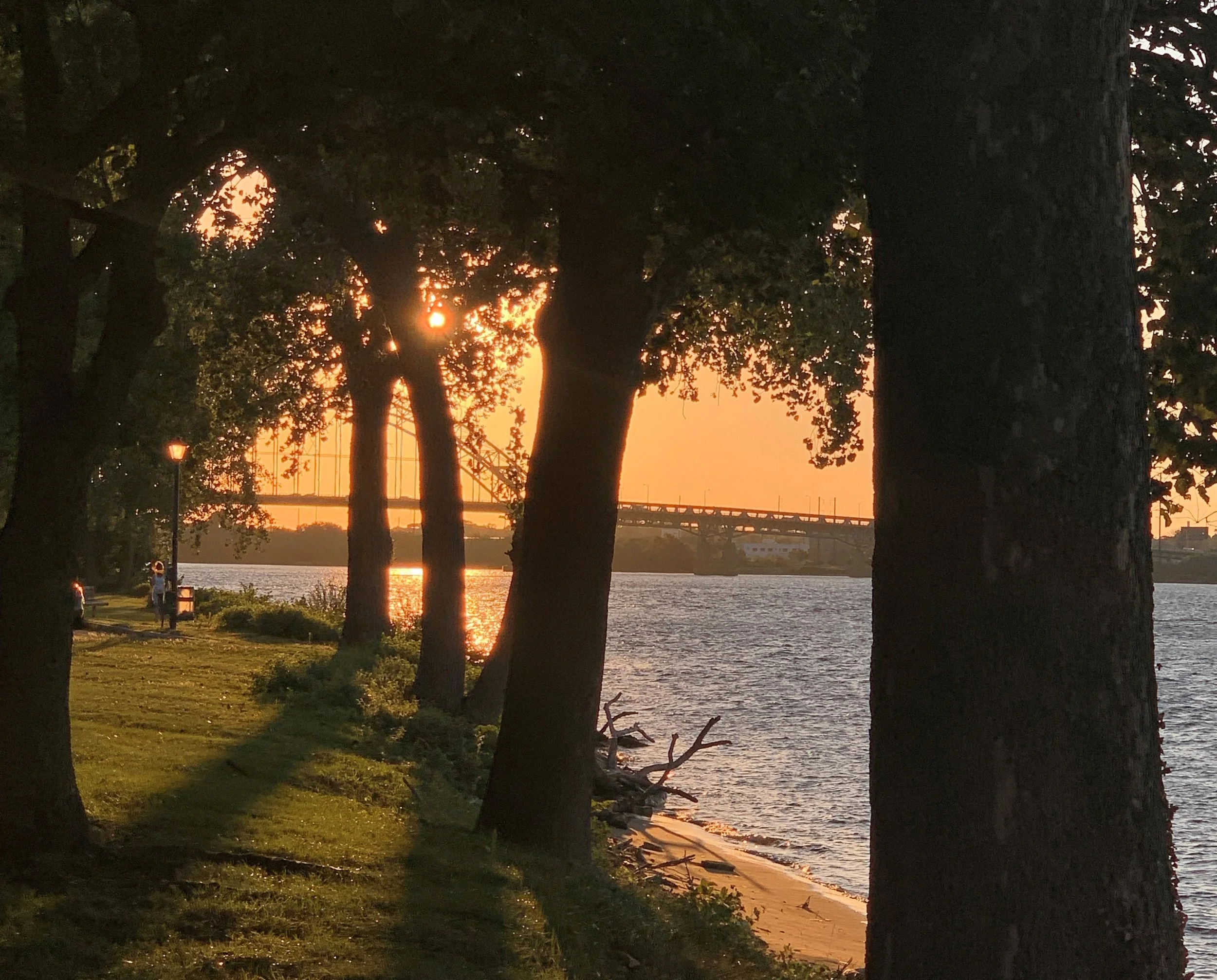 Sunset over a river viewed through trees along a grassy riverside walkway, with a bridge in the background.