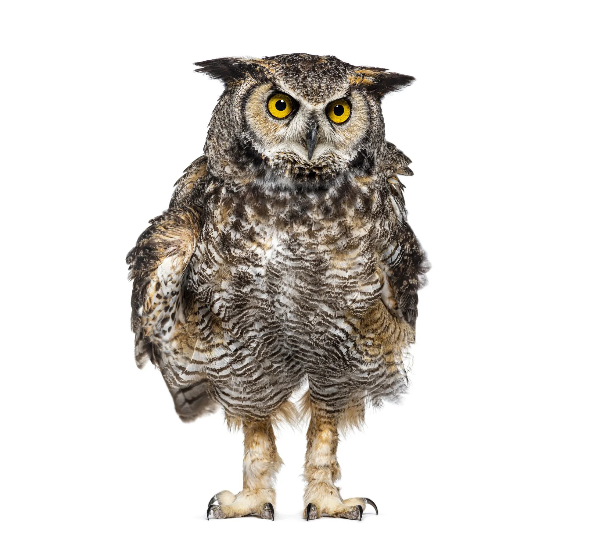 The human work behind the work 