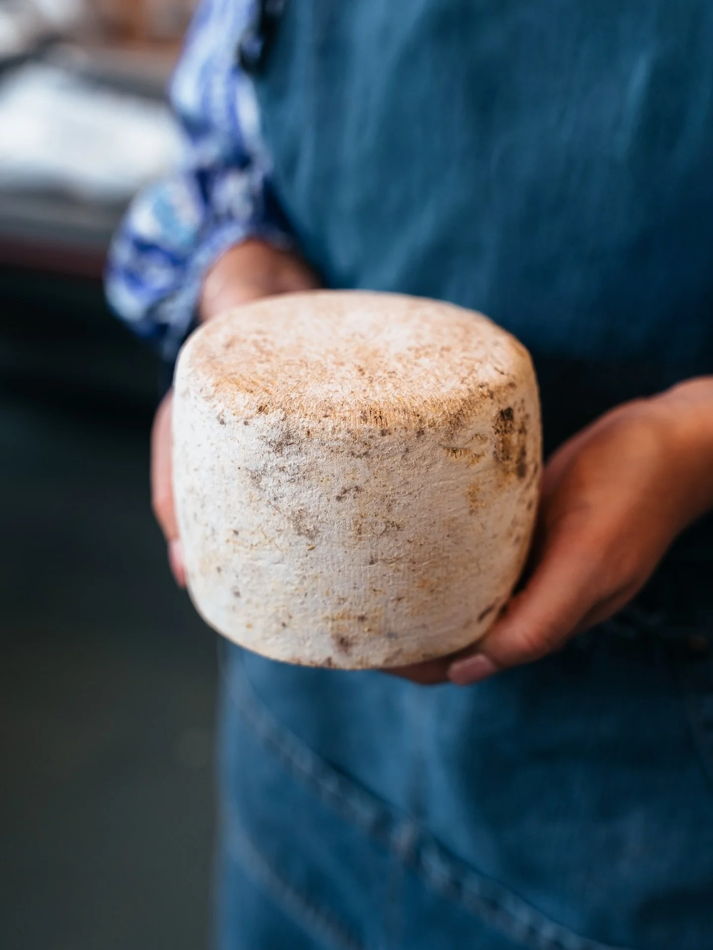Mettre en lumi&egrave;re ce qui rend un produit unique. 🧀

Pour cette fromagerie, j&rsquo;ai r&eacute;alis&eacute; une s&eacute;rie de photos centr&eacute;es sur les d&eacute;tails, les textures et l&rsquo;authenticit&eacute; des produits, afin de v