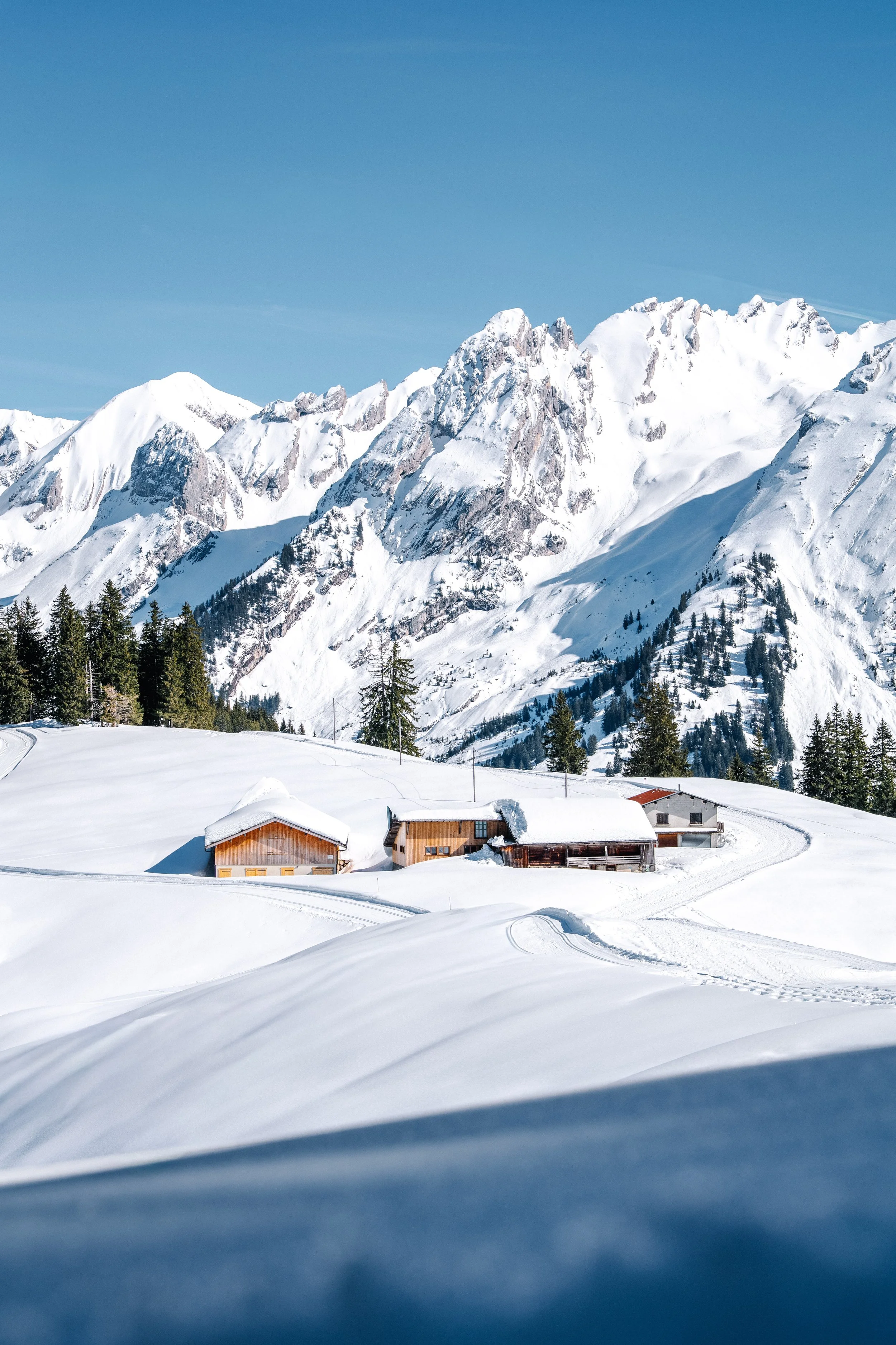 LaClusaz_Hiver_2025-2026_Relief-32.jpg