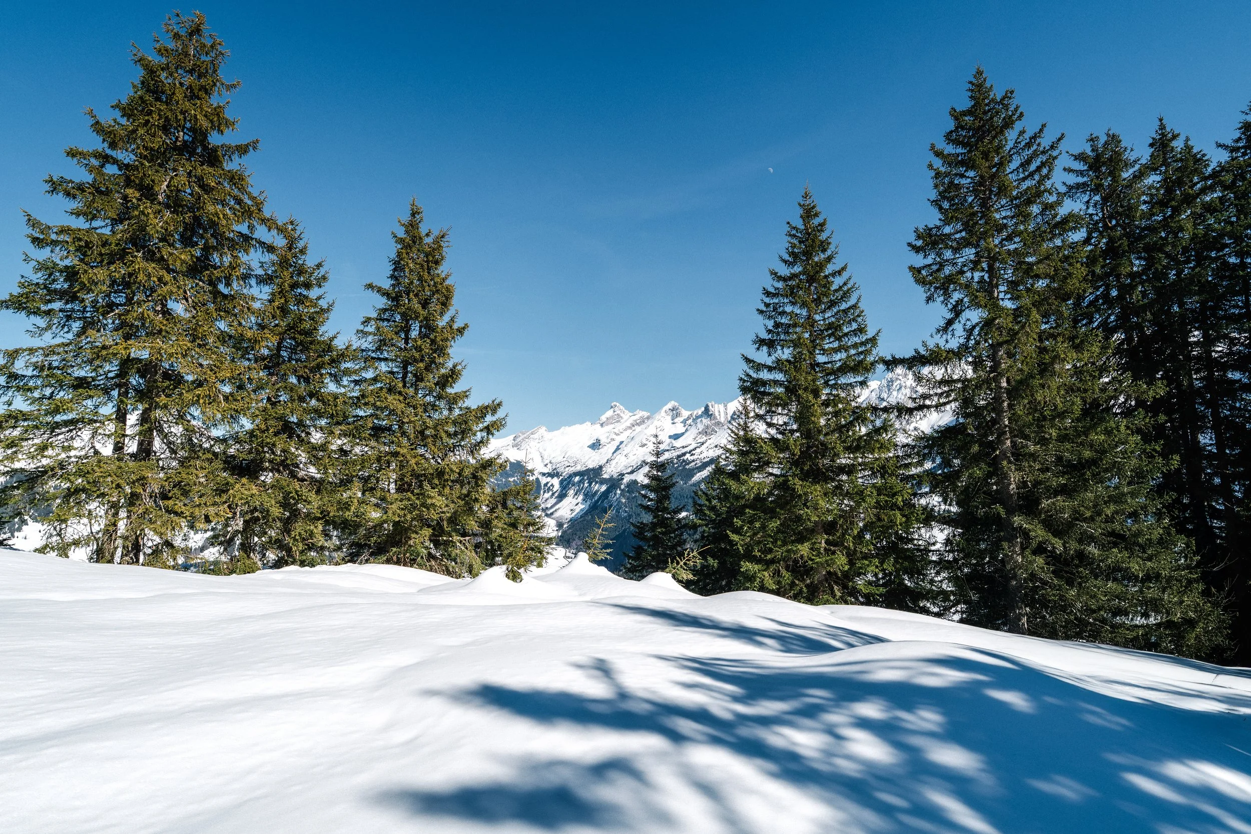 LaClusaz_Hiver_2025-2026_Relief-30.jpg